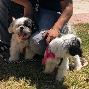 Meet your Posher, Marlon